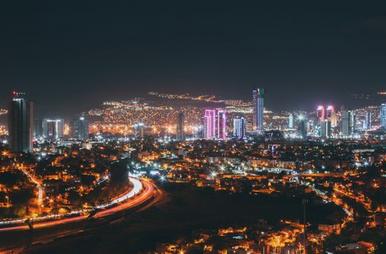 ba cây trực tuyến New88